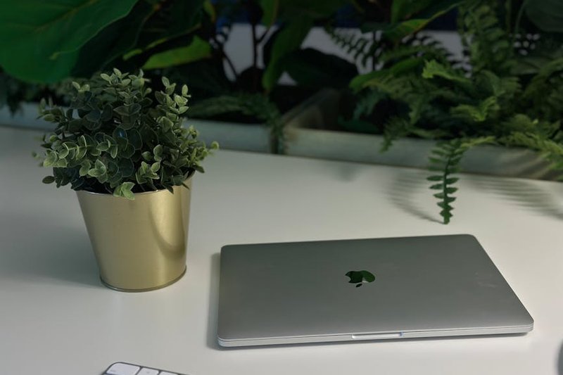 Business dashboard showing SEO KPIs like organic traffic and lead conversion rates over time